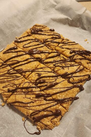 Protein Granola Bars 4 Ingredients