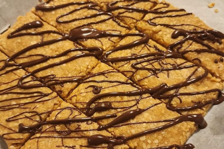 Protein Granola Bars 4 Ingredients